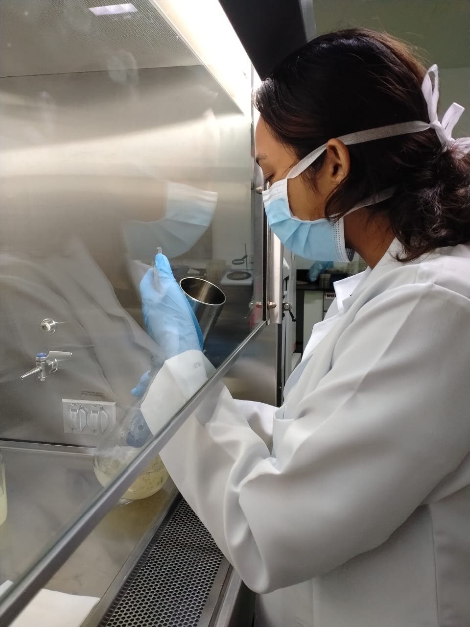 A quality control analyst working at a laminar air flow cabinet