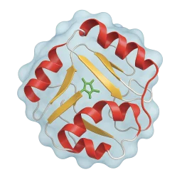Protein structure of the enzyme drawn as red helices and yellow strands inside a translucent molecular surface.