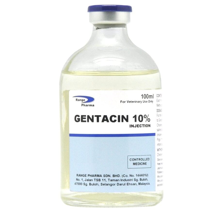 Gentamicin Sulphate 100,000iu injection